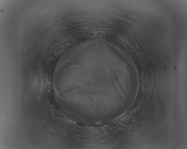 X0000062651013200601111146