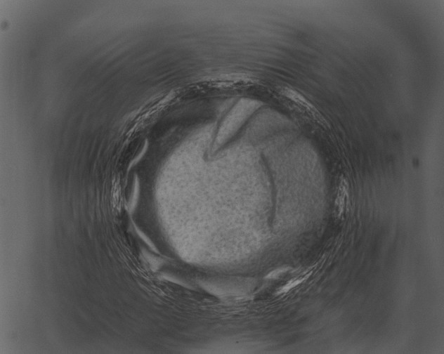 X0000062651014200601111146