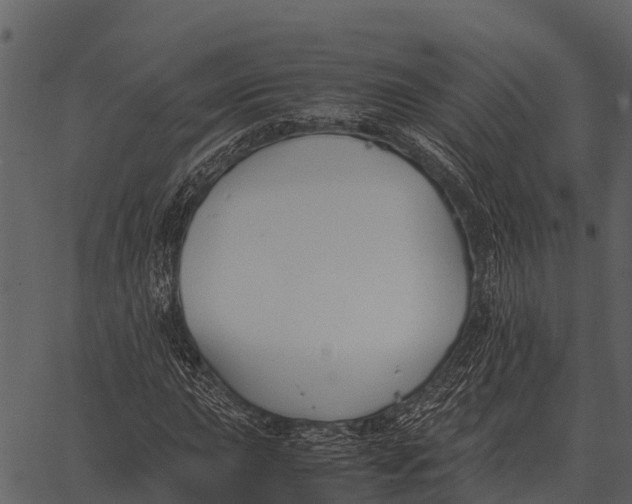 X0000062651015200601111146