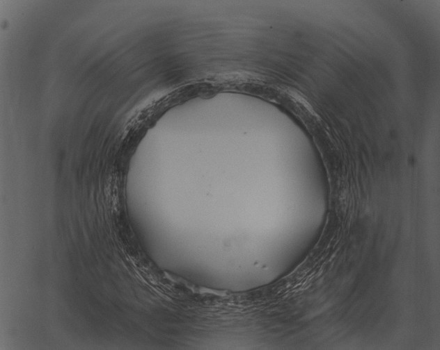 X0000062651016200601111146