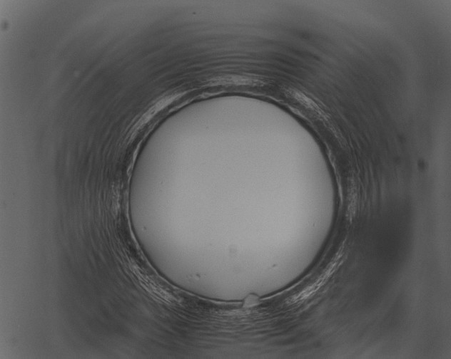 X0000062651017200601111146