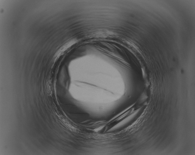 X0000062651018200601111146