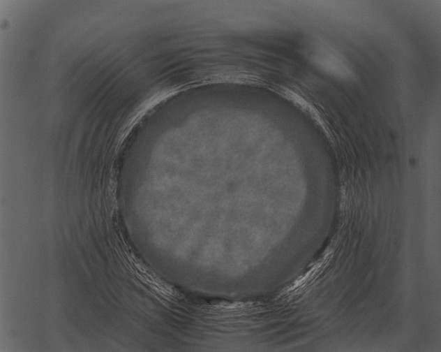 X0000062651019200601111146