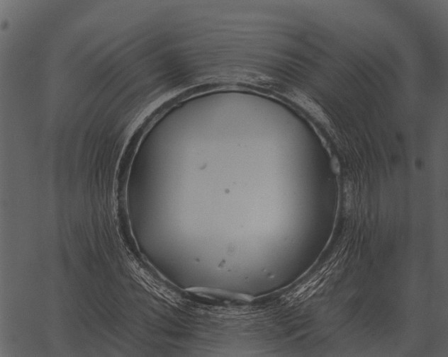 X0000062651020200601111146