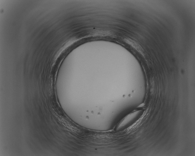 X0000062651021200601111146