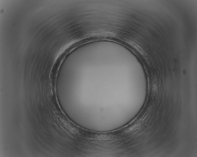 X0000062651022200601111146