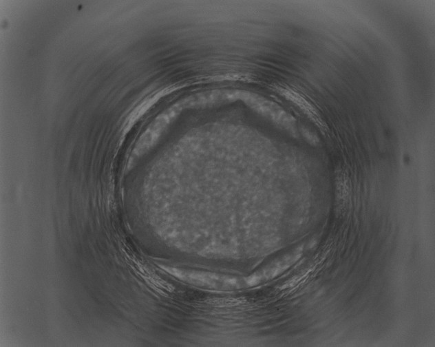 X0000062651023200601111146