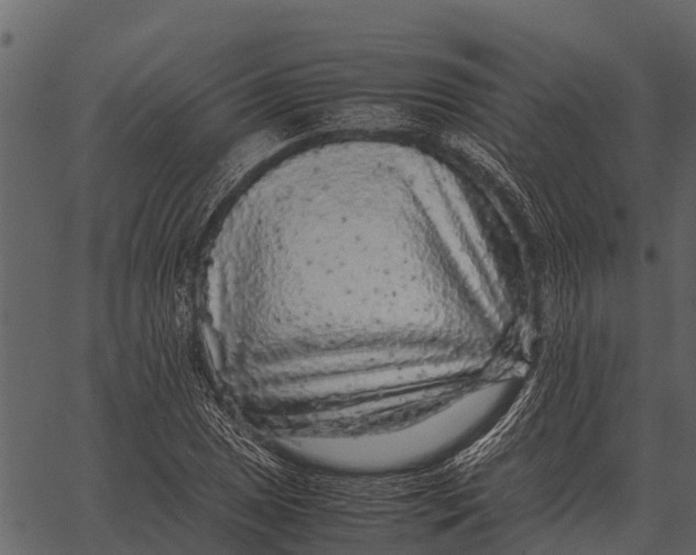 X0000062651025200601111146