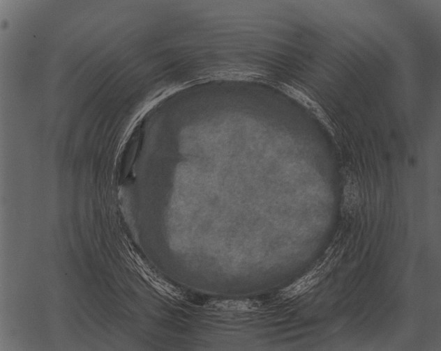 X0000062651027200601111146