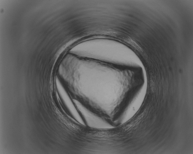 X0000062651028200601111146