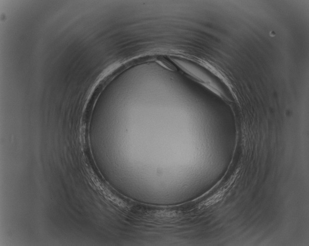 X0000062651029200601111146