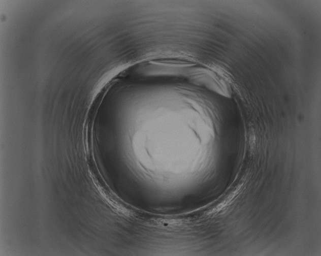 X0000062651030200601111146