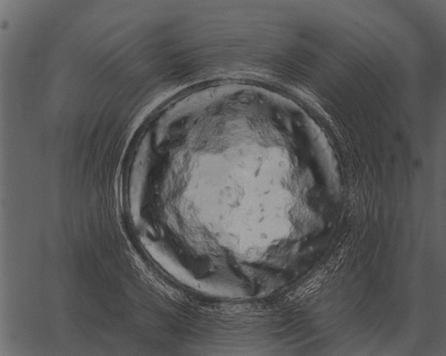 X0000062651032200601111146