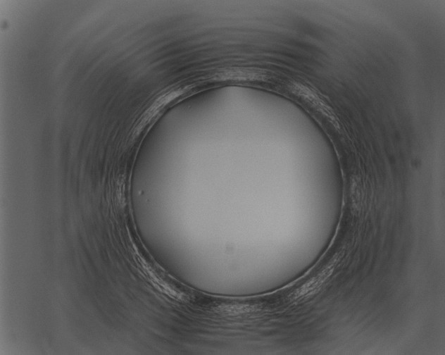 X0000062651033200601111146