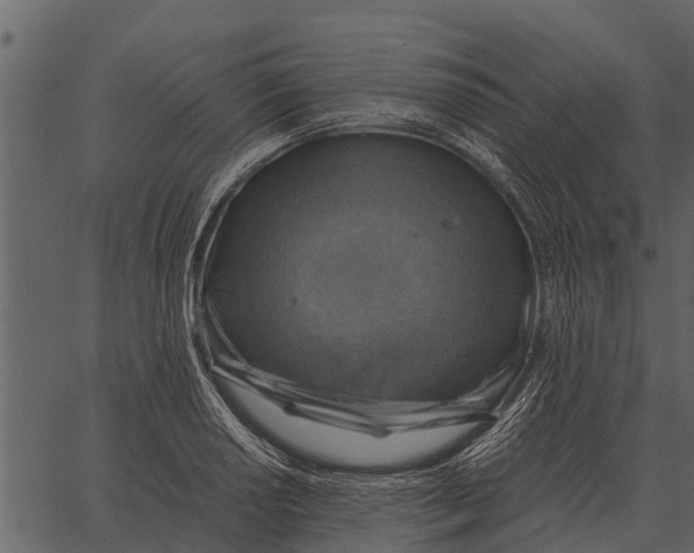 X0000062651034200601111146