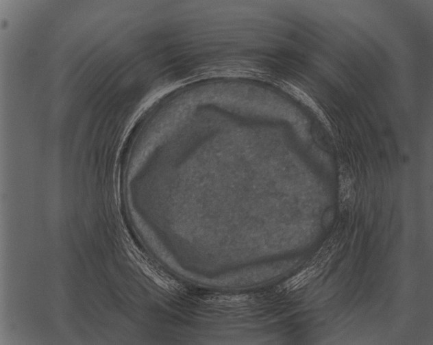 X0000062651035200601111146