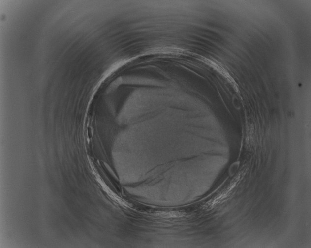 X0000062651037200601111146