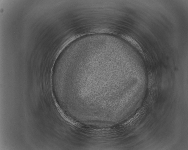 X0000062651039200601111146