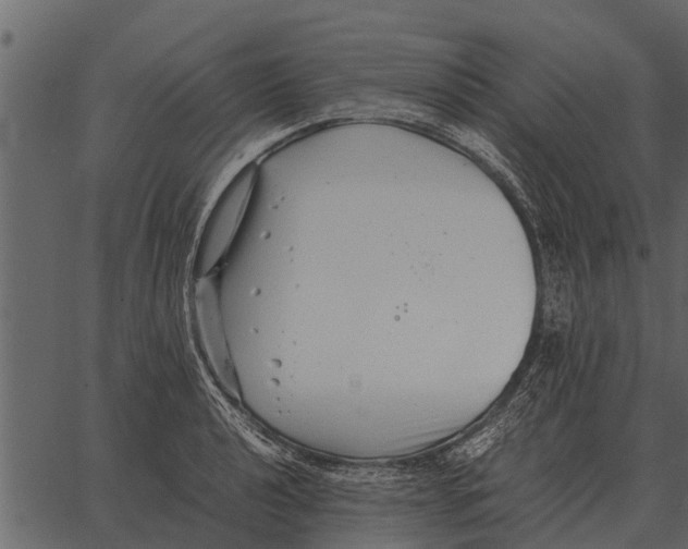 X0000062651040200601111146