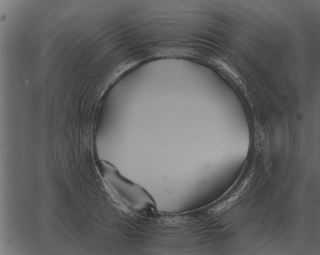 X0000062651041200601111146