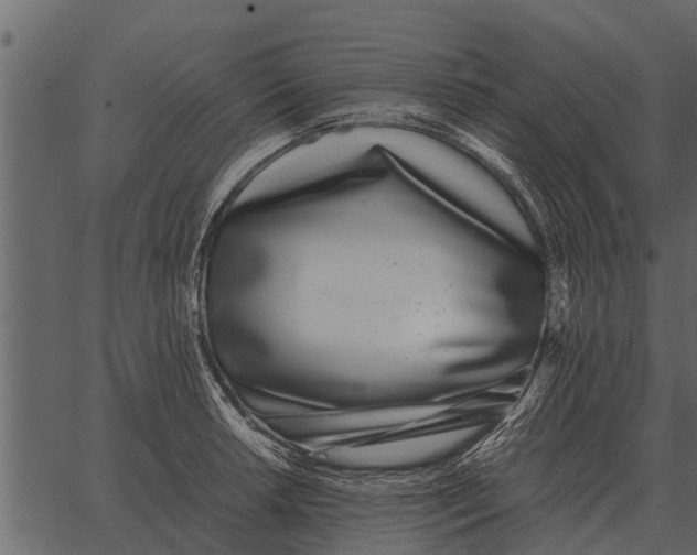 X0000062651042200601111146