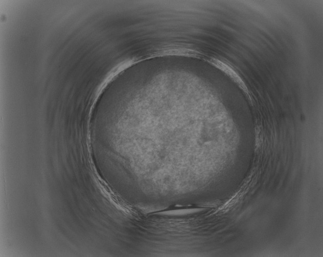 X0000062651043200601111146