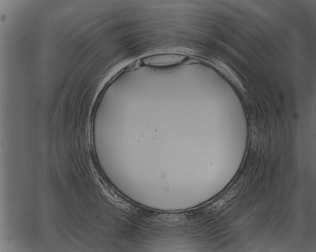 X0000062651044200601111146