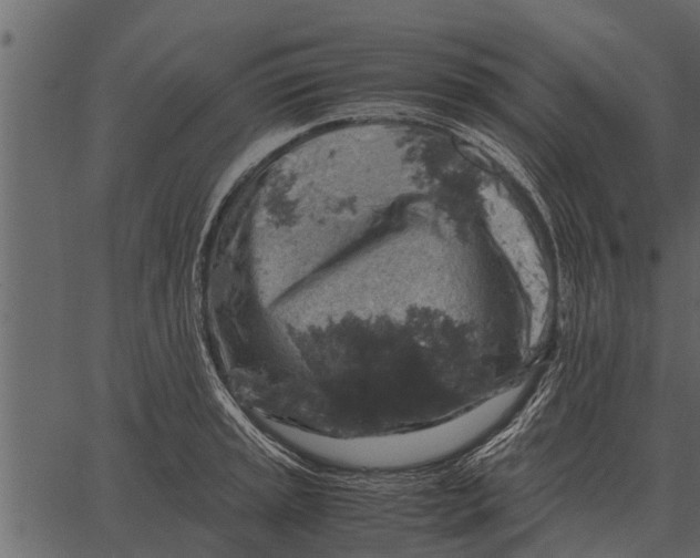 X0000062651045200601111146