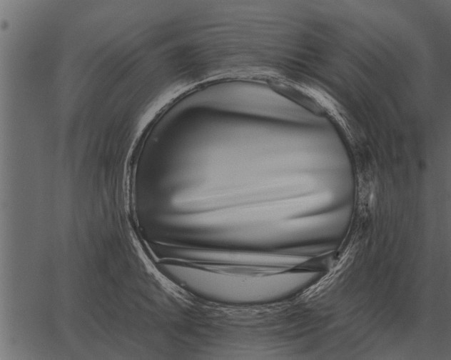 X0000062651046200601111146