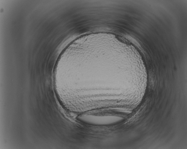 X0000062651047200601111146