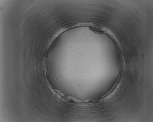 X0000062651049200601111146