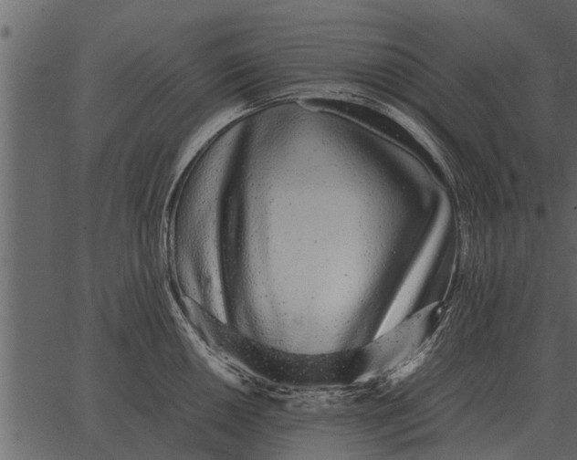 X0000062651050200601111146