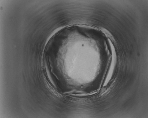 X0000062651052200601111146