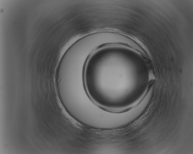 X0000062651054200601111147