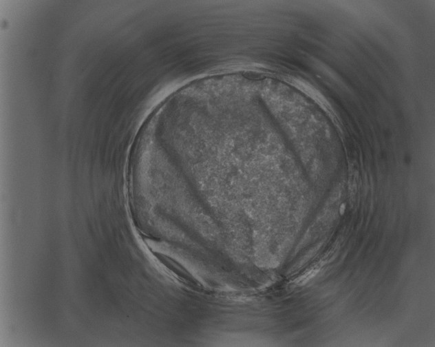 X0000062651055200601111147