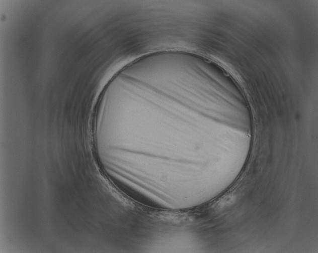 X0000062651056200601111147