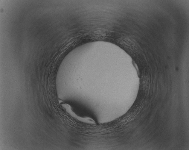 X0000062651057200601111146