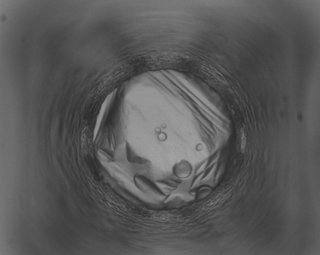 X0000062651059200601111146