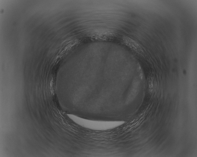 X0000062651060200601111146