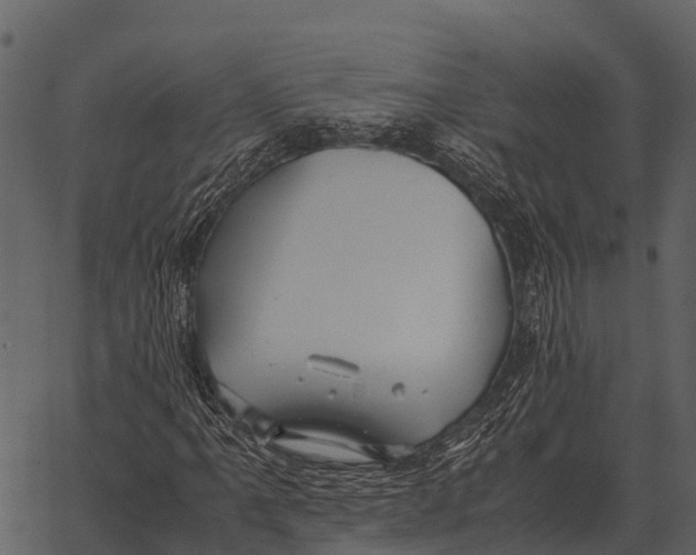 X0000062651061200601111146