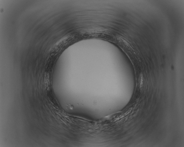 X0000062651062200601111146