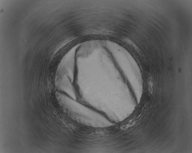 X0000062651064200601111146