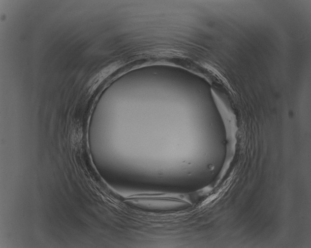 X0000062651065200601111146