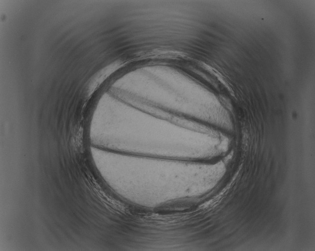 X0000062651066200601111146