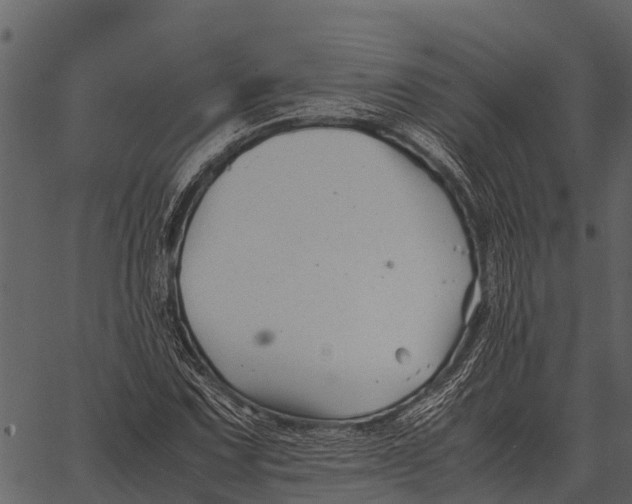 X0000062651067200601111146