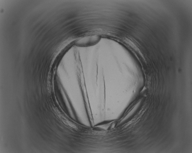 X0000062651068200601111146