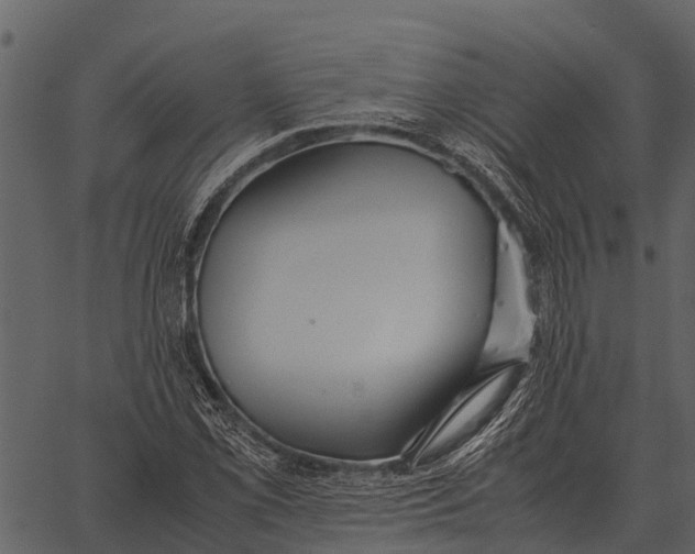 X0000062651069200601111146