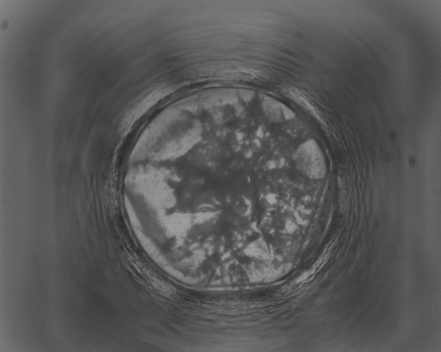 X0000062651071200601111146