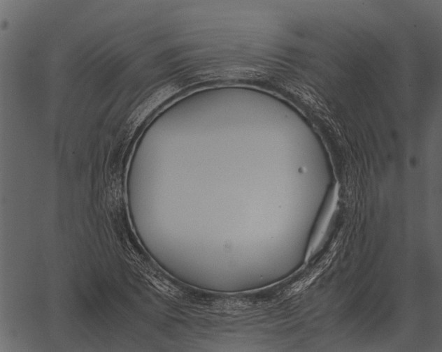 X0000062651073200601111145