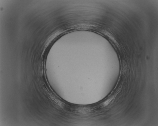 X0000062651075200601111145